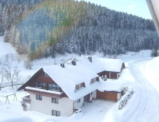 Ferienwohnung-Nr-1 Vöhrenbach Kültér fotó